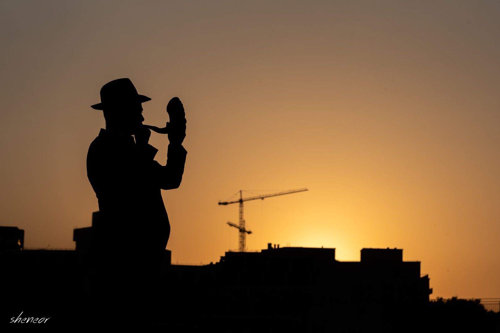 SMY_7104 (גדול).jpg