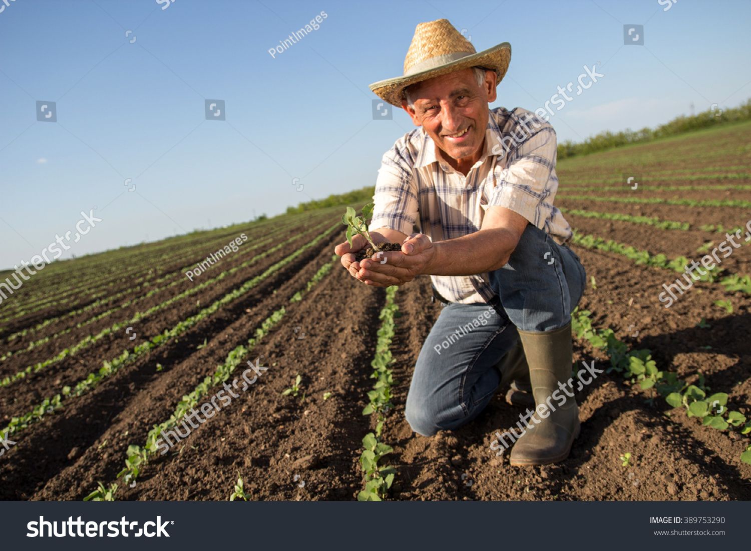 stock-photo-senior-farmer-in-a-field-holding-crop-in-his-hands-389753290.jpg