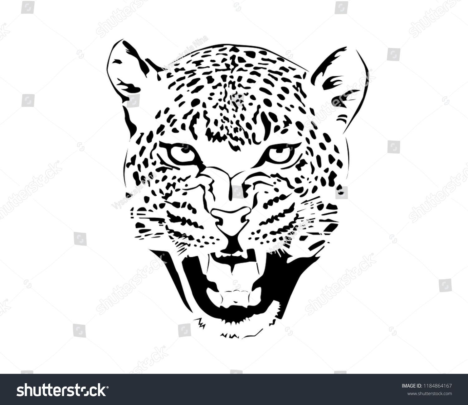 stock-vector-jaguar-head-in-black-and-white-1184864167.jpg