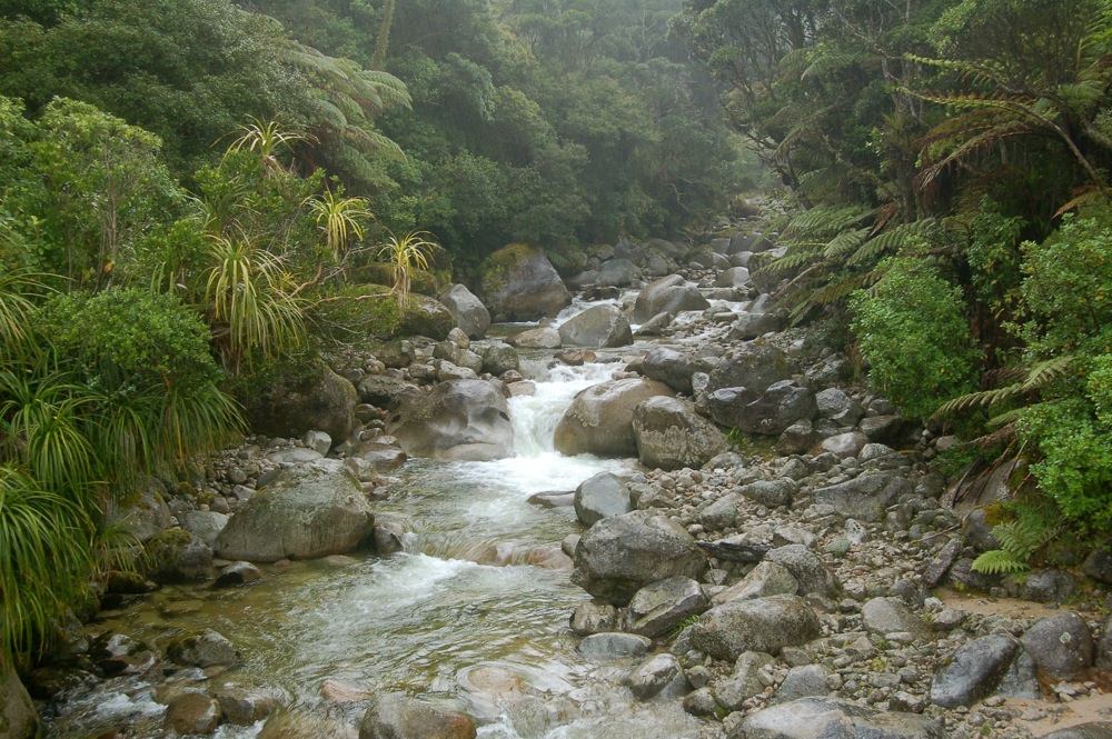 Stream_on_Heaphy_Track.jpg