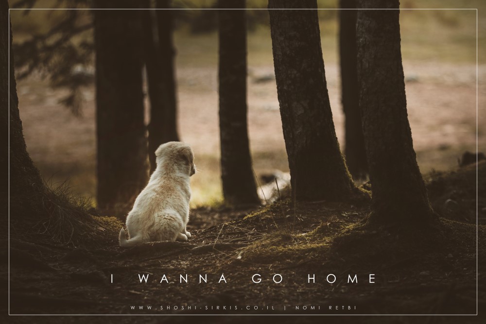 the black lake- montenegro-0495.jpg