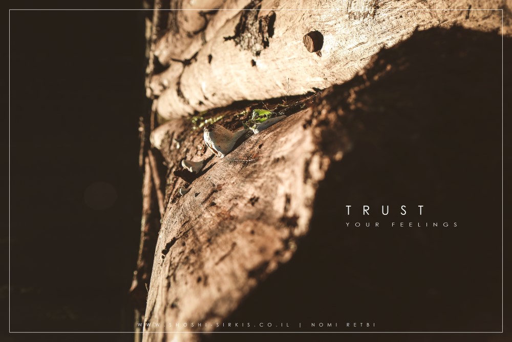 the black lake- montenegro-4741.jpg