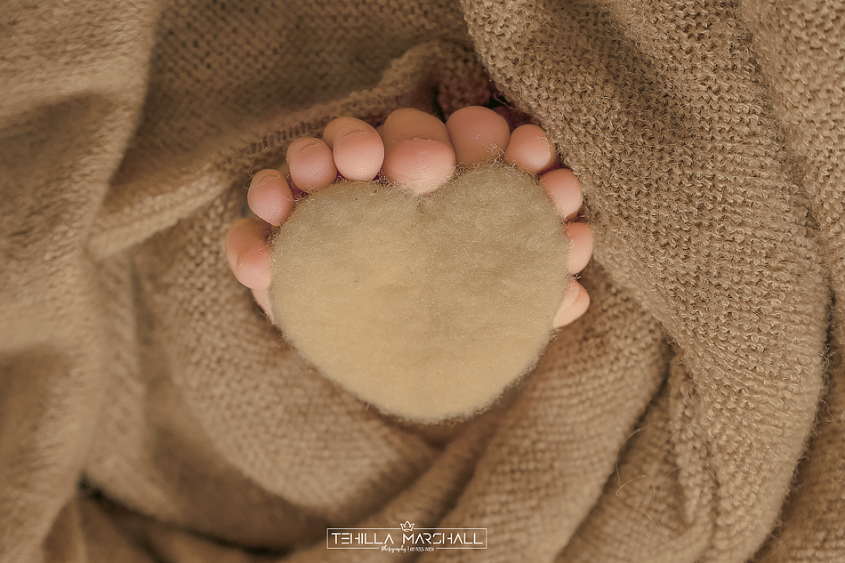 TSM_0583246824 (10).jpg