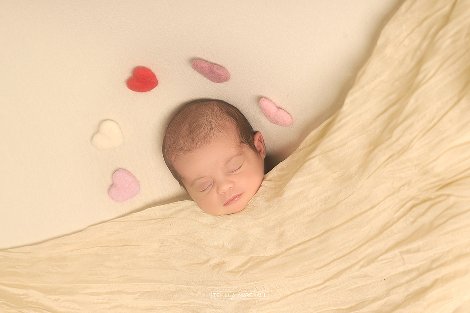 TSM_0583246824 (2).jpg