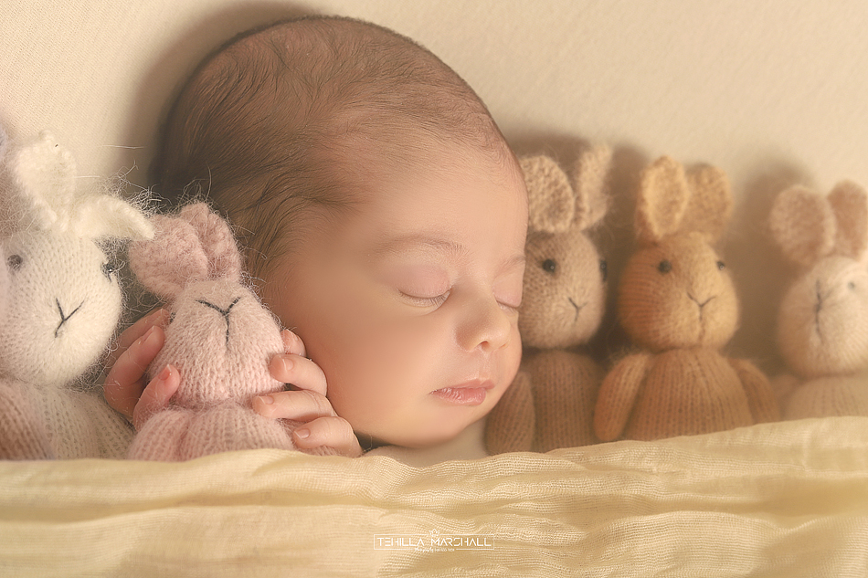 TSM_0583246824 (5).jpg