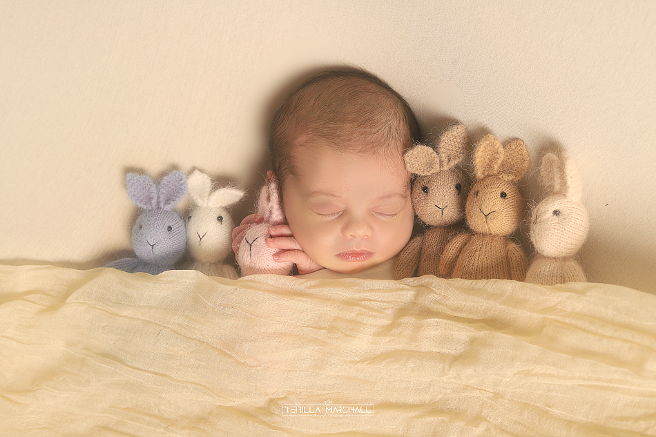 TSM_0583246824 (6).jpg