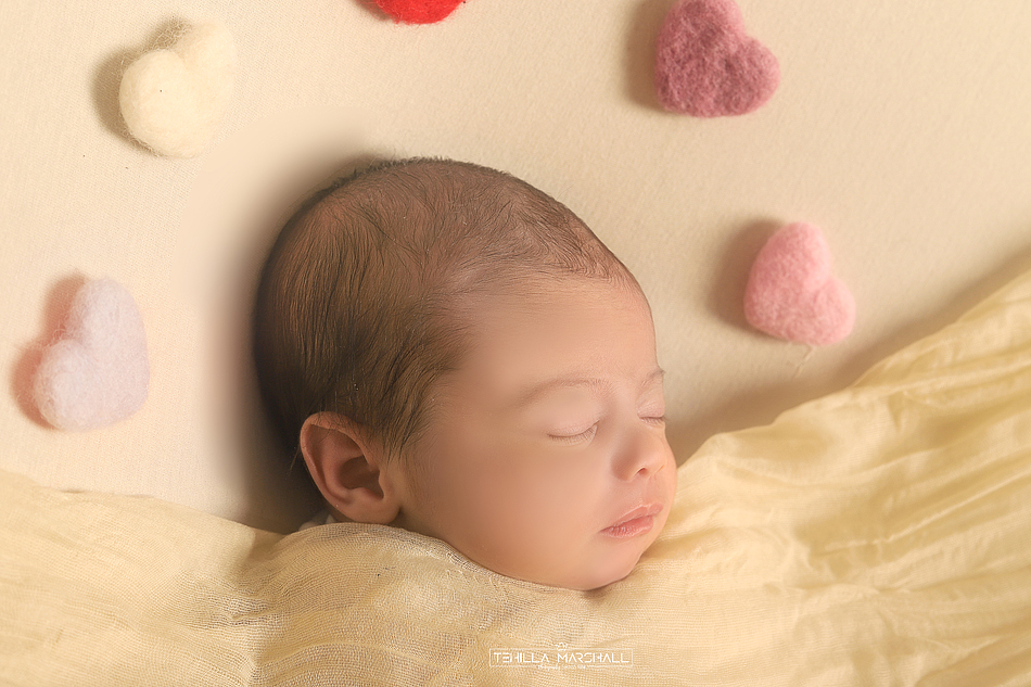 TSM_0583246824 (7).jpg