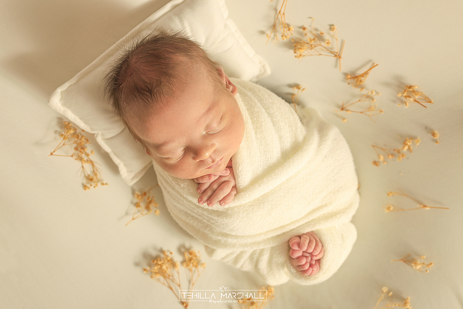 TSM_0583246824 (7).jpg