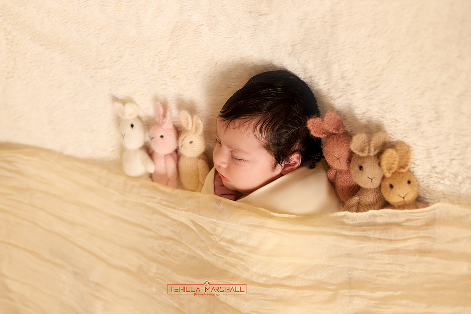 TSM_0583246824S (8).jpg