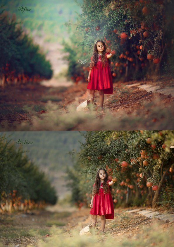 Untitled-3לפני אחרימוקטן.jpg