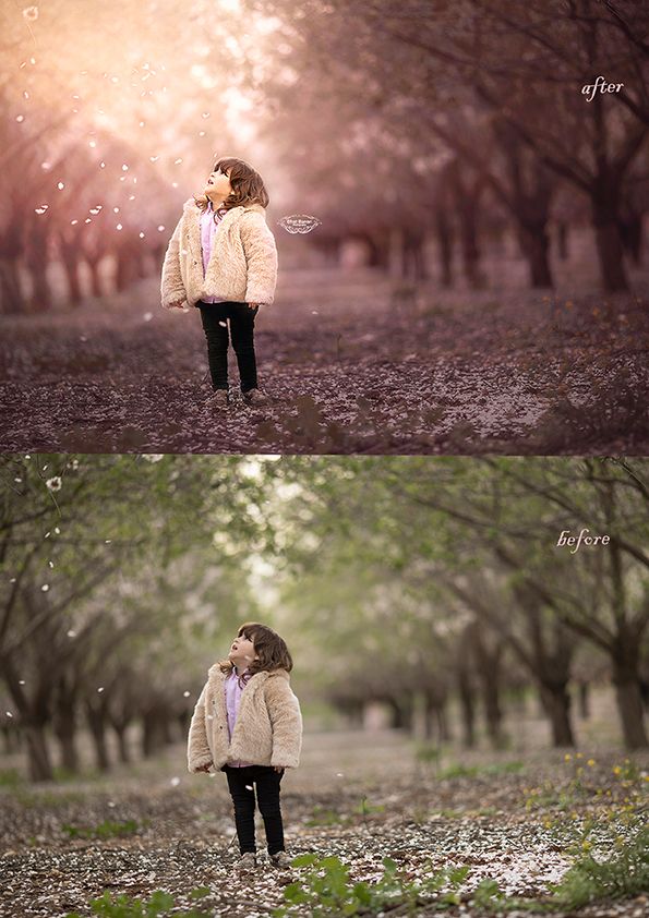 Untitled-3לפני אחרי ימוקטן.jpg