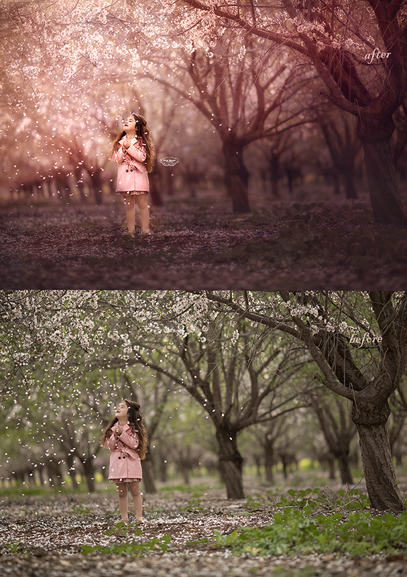 Untitled-3לפני אחרי (2)מוקטן.jpg