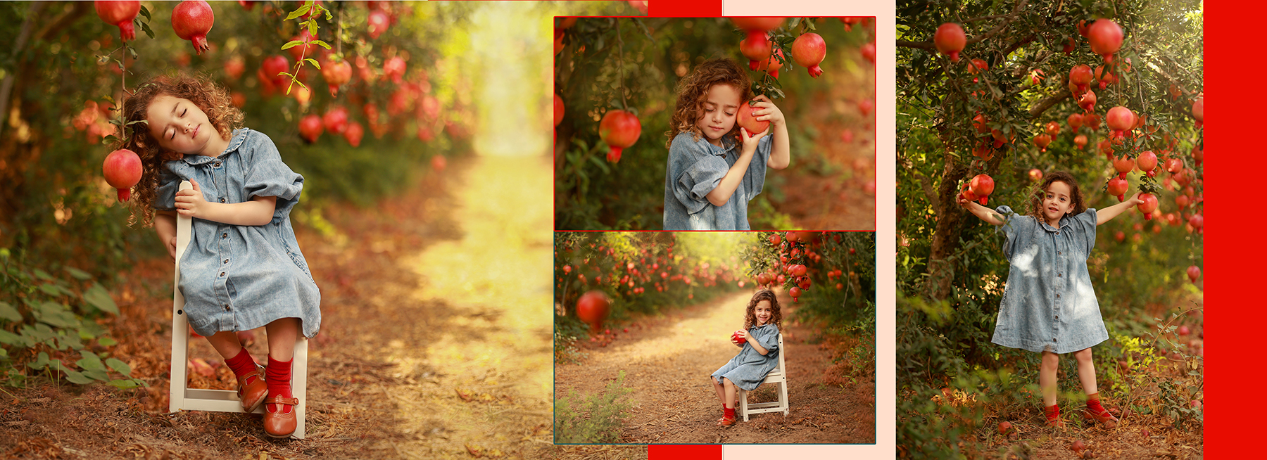 Untitled-8 copy 2מוקטן.jpg