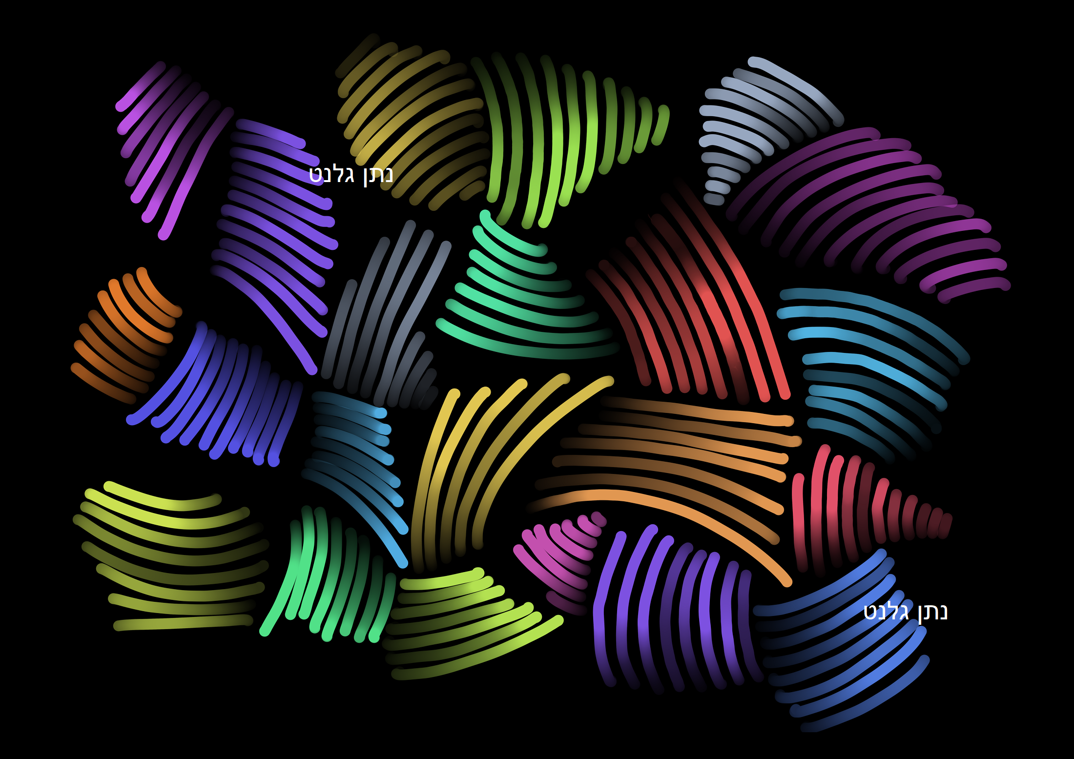 Untitled_Artwork 26.png