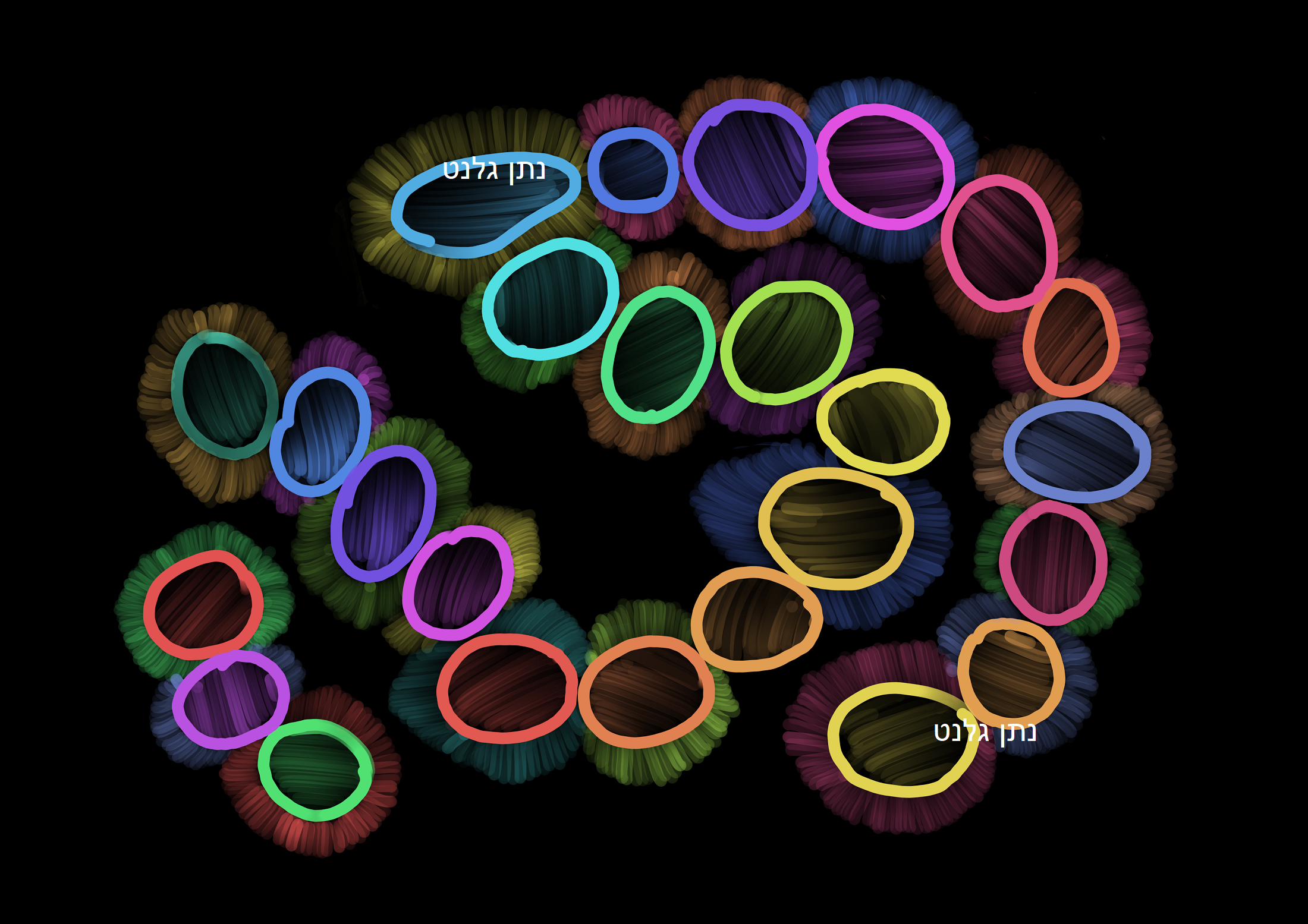 Untitled_Artwork 30.png