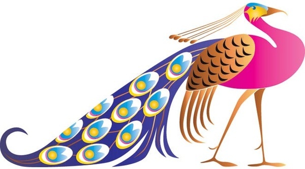 vector_beautiful_pink_peacock_566522.jpg