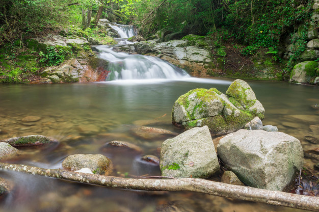 waterfall-catalonian-forest_117586-72.jpg
