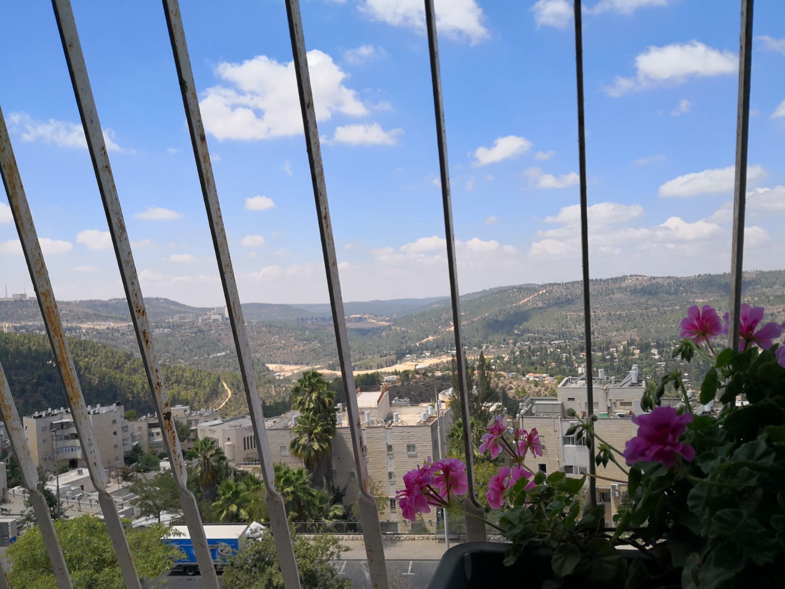 WhatsApp Image 2018-07-29 at 11.51.40.jpeg