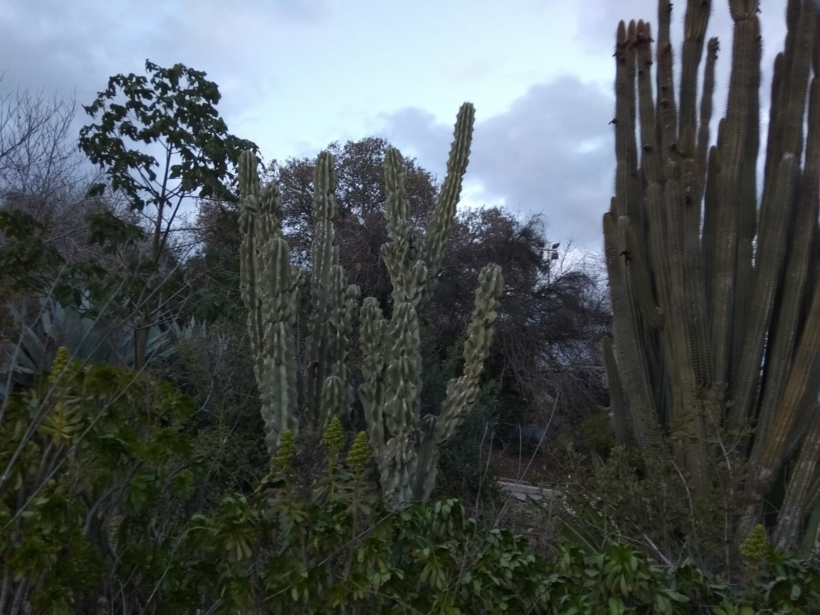 WhatsApp Image 2019-01-27 at 15.41.38.jpeg