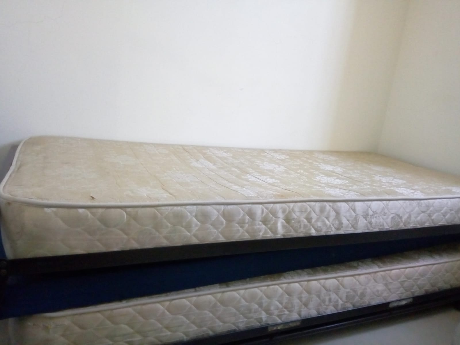 WhatsApp Image 2019-07-31 at 15.04.36.jpeg