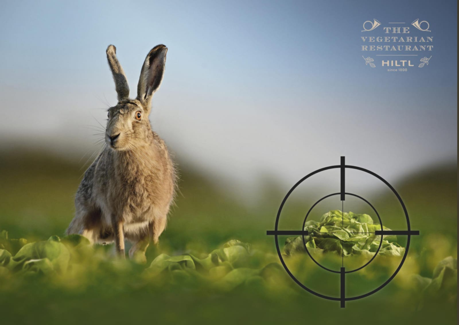 WhatsApp Image 2019-10-07 at 11.13.21.jpeg