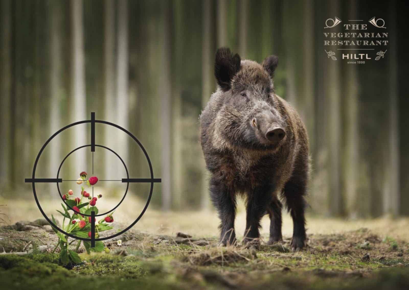 WhatsApp Image 2019-10-07 at 11.13.22.jpeg