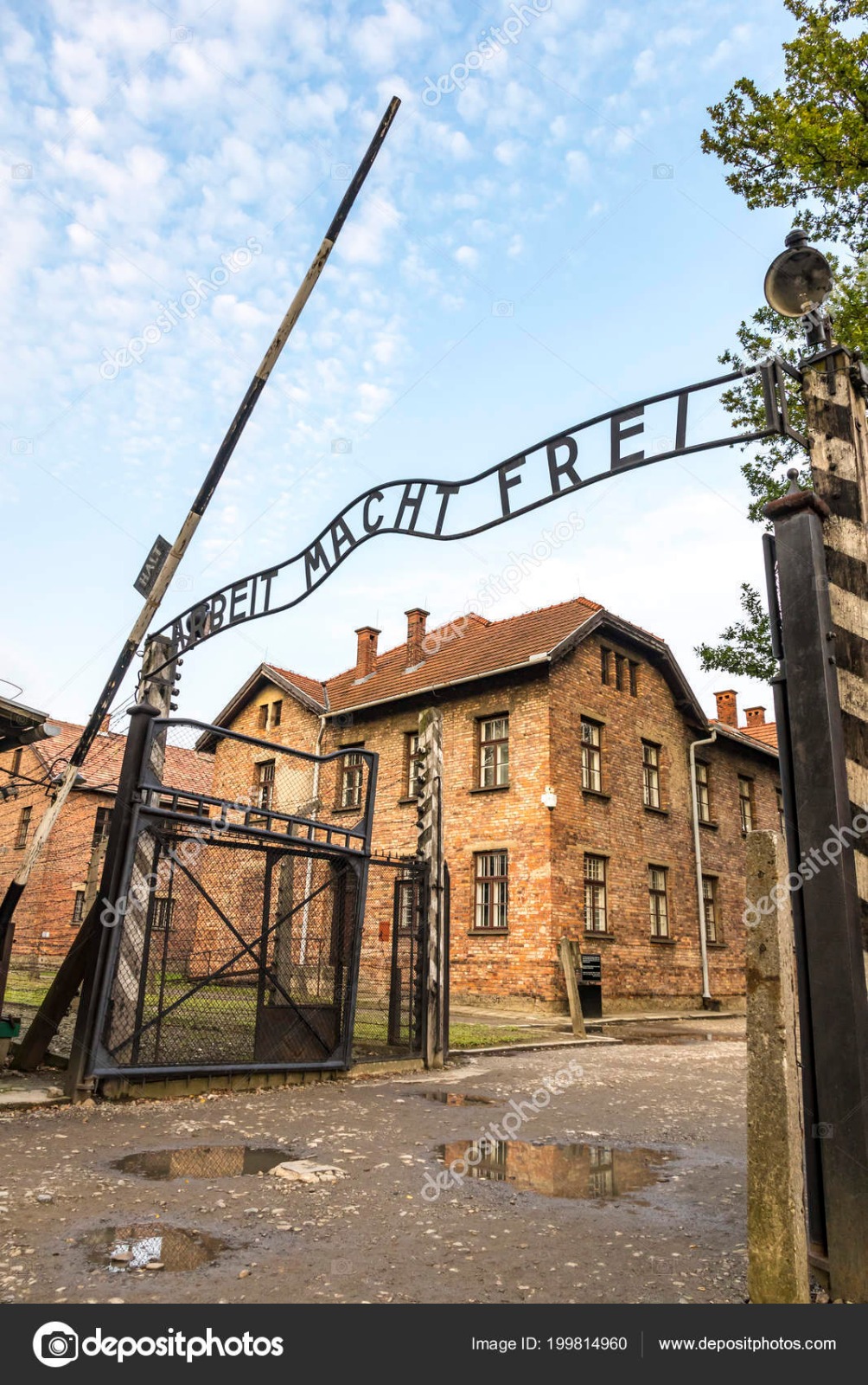 WhatsApp Image 2019-12-10 at 09.52.00(1).jpeg