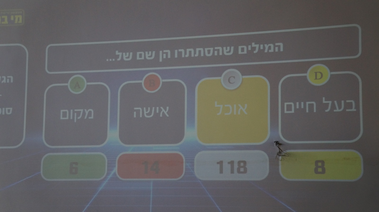 WhatsApp Image 2019-12-24 at 12.18.10 (1).jpeg