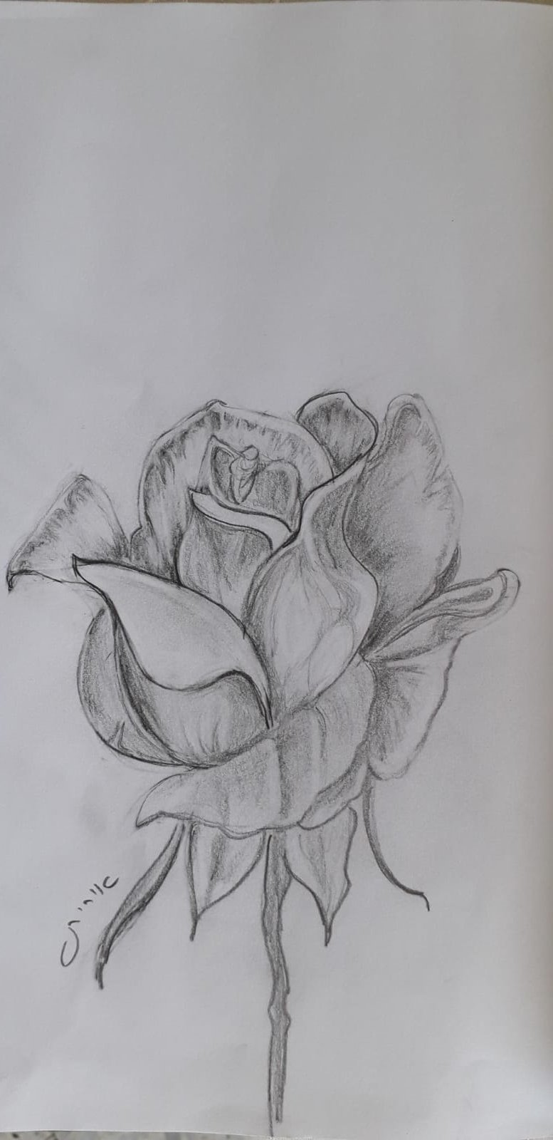 WhatsApp Image 2021-01-12 at 14.26.17 (1).jpeg