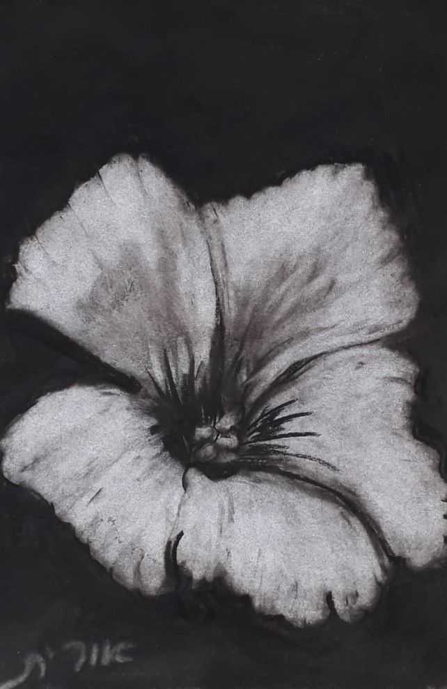 WhatsApp Image 2021-01-12 at 14.40.11 (1).jpeg