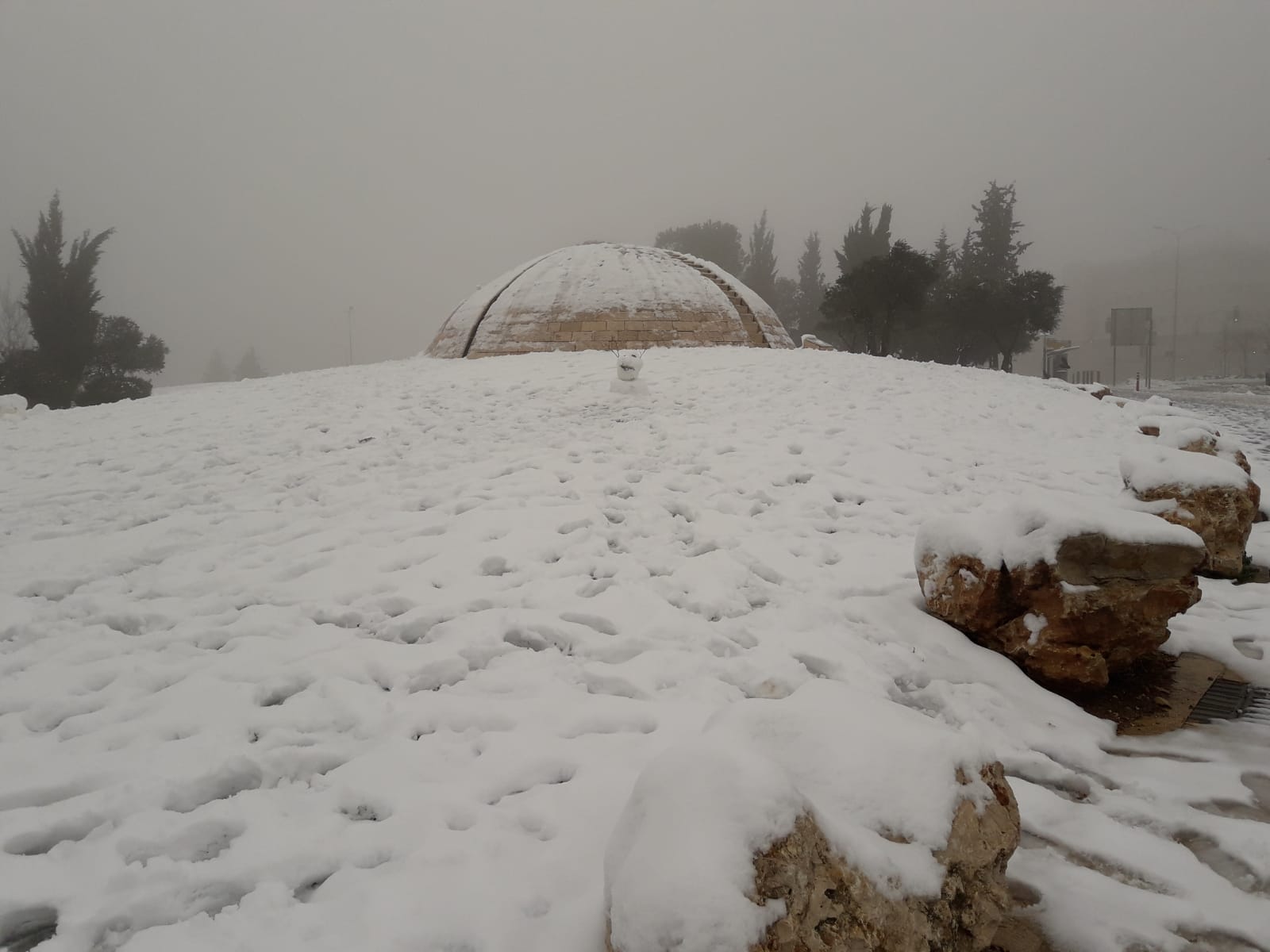 WhatsApp Image 2021-02-18 at 09.19.05.jpeg