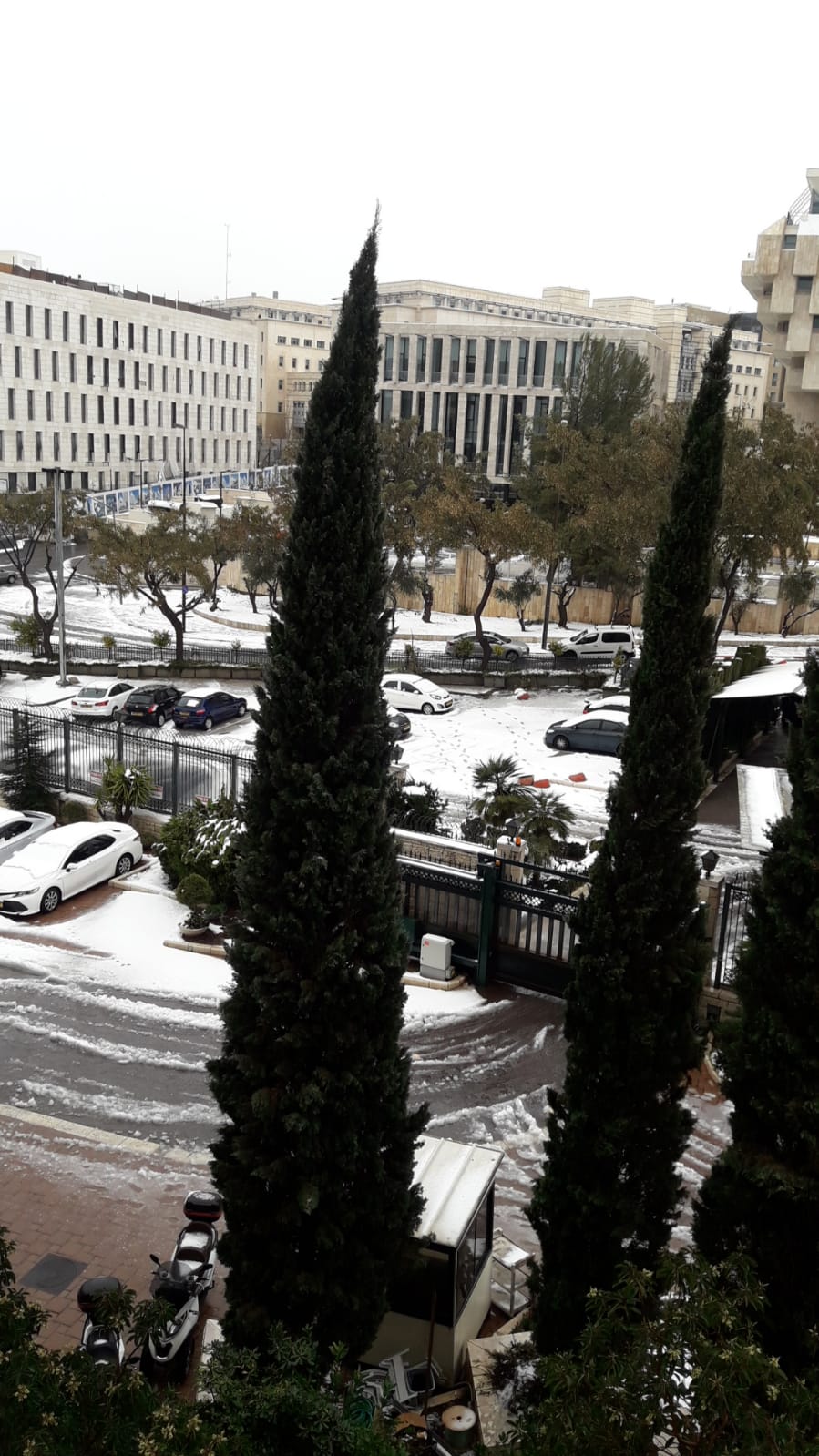 WhatsApp Image 2021-02-18 at 09.57.43.jpeg