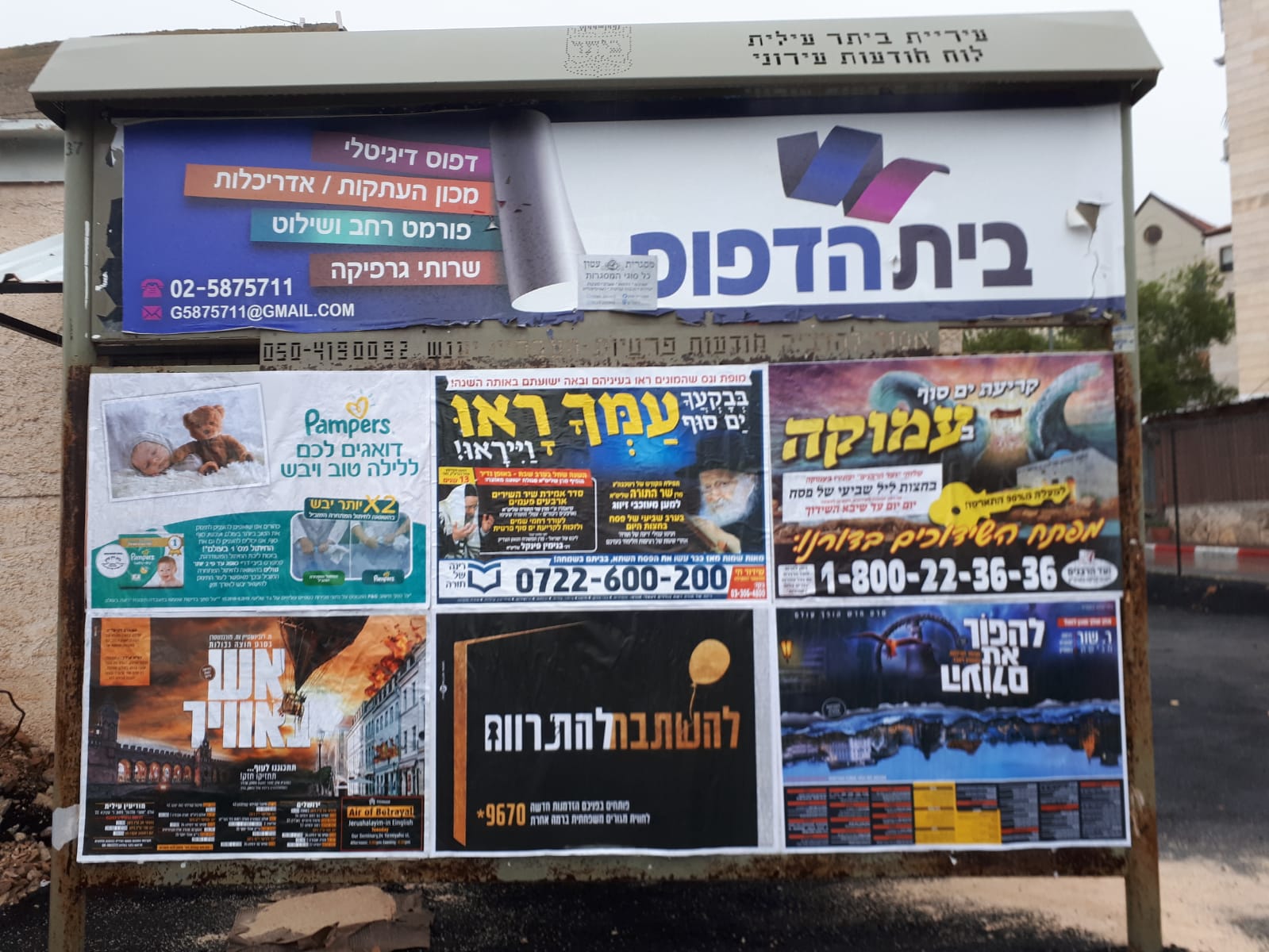 WhatsApp Image 2021-04-21 at 17.03.46.jpeg