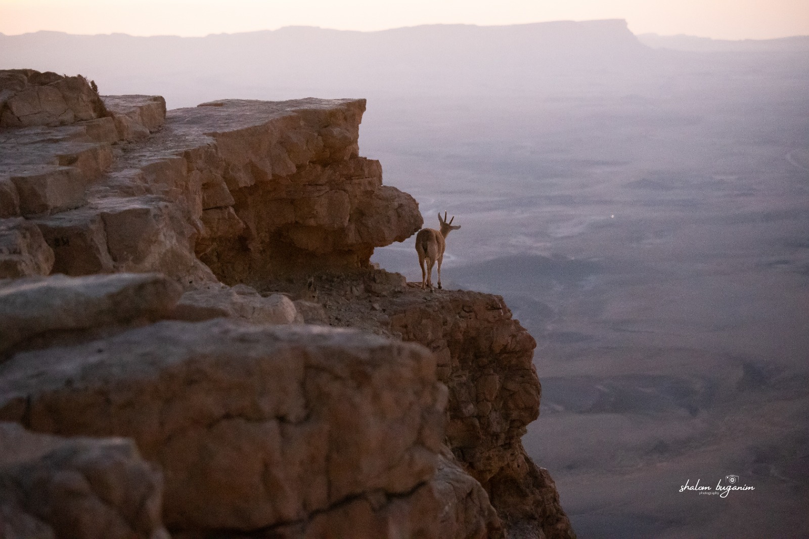 WhatsApp Image 2021-07-11 at 00.00.33.jpeg