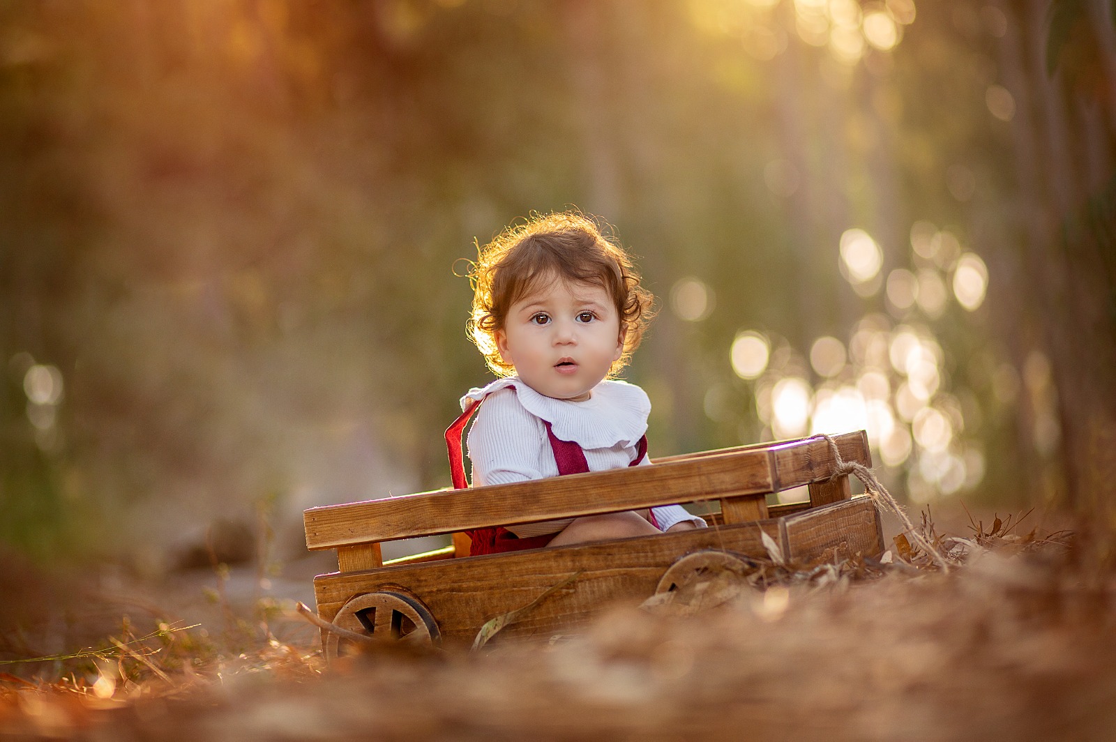 WhatsApp Image 2021-10-14 at 14.56.04.jpeg