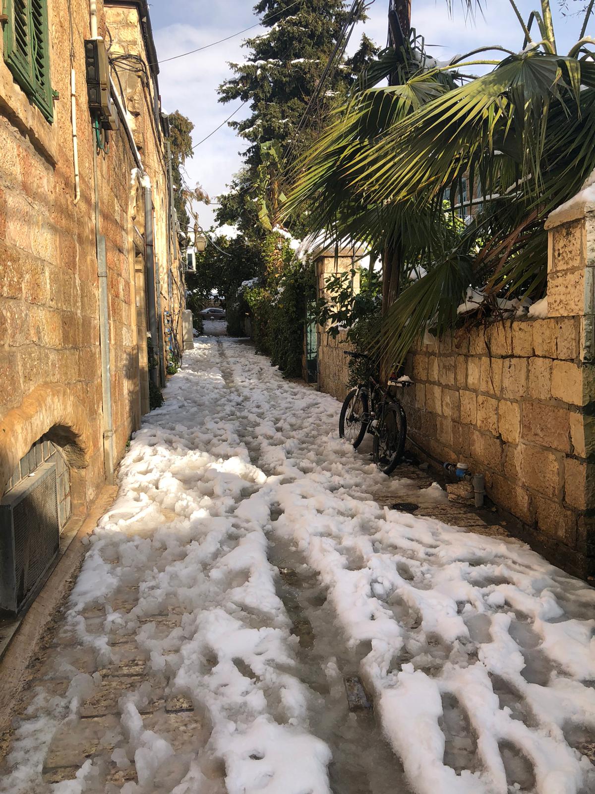 WhatsApp Image 2022-01-27 at 21.22.51.jpeg