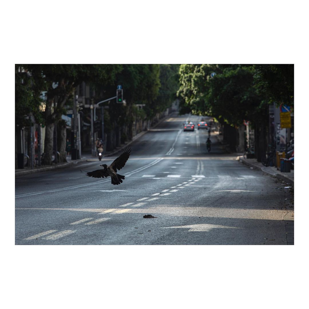 WhatsApp Image 2022-03-22 at 12.21.58.jpeg