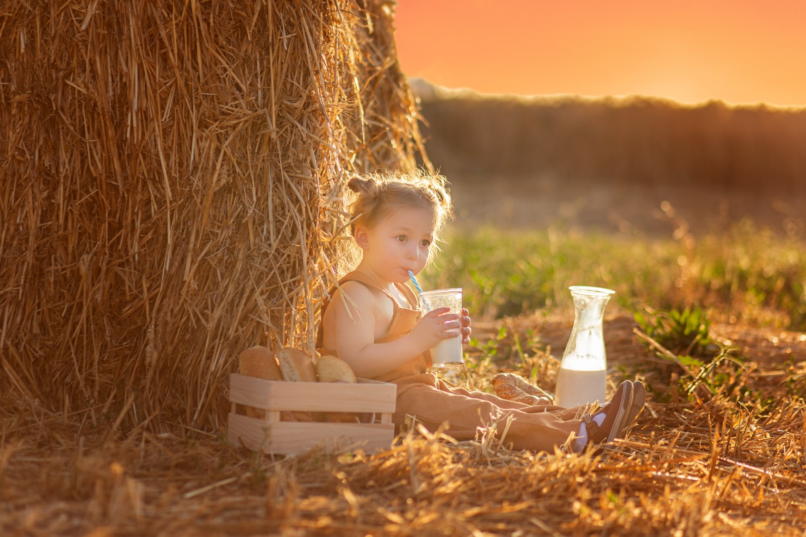 WhatsApp Image 2022-05-11 at 23.24.39.jpeg