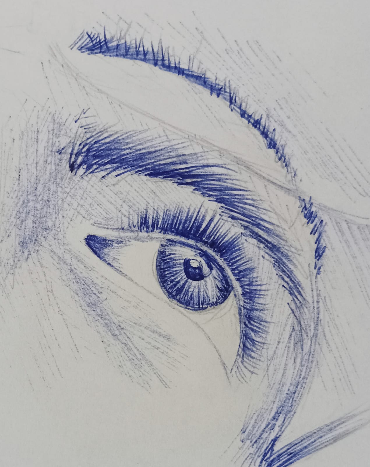 WhatsApp Image 2022-12-02 at 01.52.49.jpeg