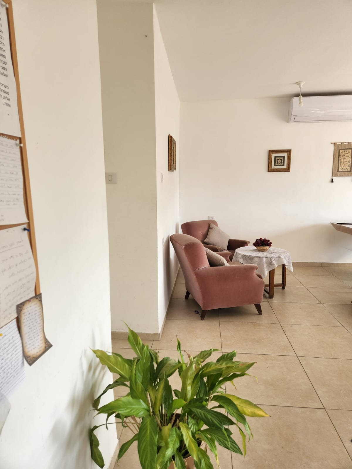 WhatsApp Image 2023-01-11 at 12.20.34.jpeg