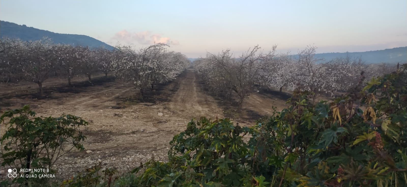 WhatsApp Image 2023-02-24 at 06.56.24.jpeg