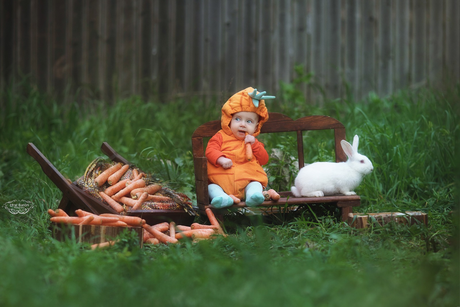 WhatsApp Image 2023-03-05 at 12.03.26 (3).jpeg