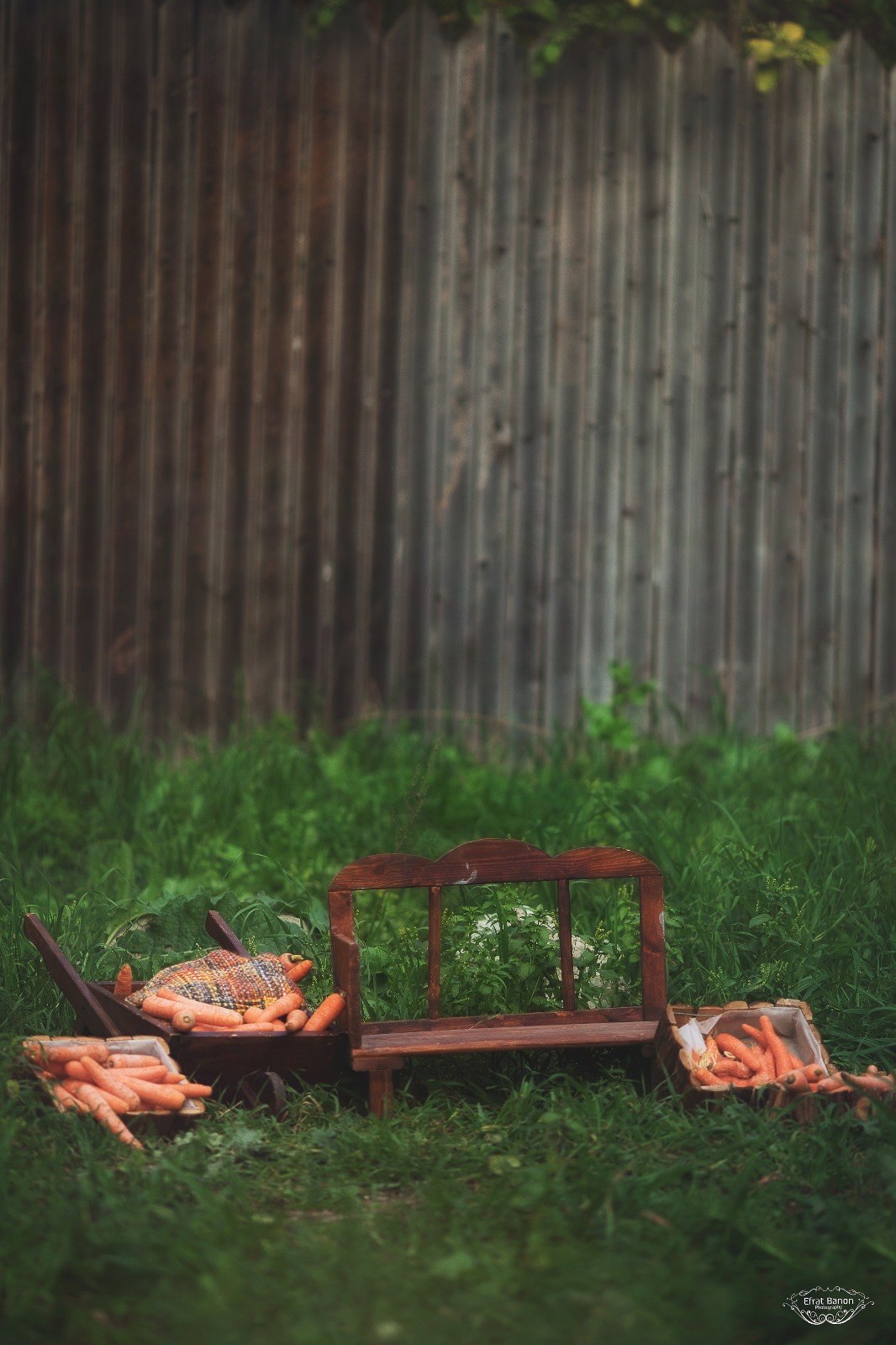 WhatsApp Image 2023-03-05 at 12.03.26 (4).jpeg