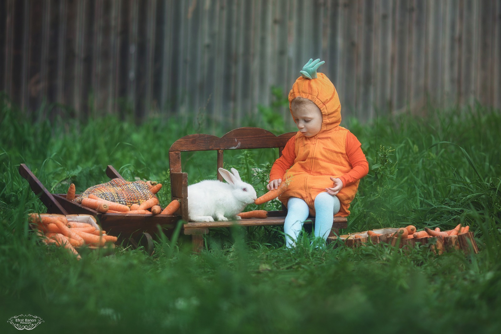 WhatsApp Image 2023-03-05 at 12.03.26 (8).jpeg