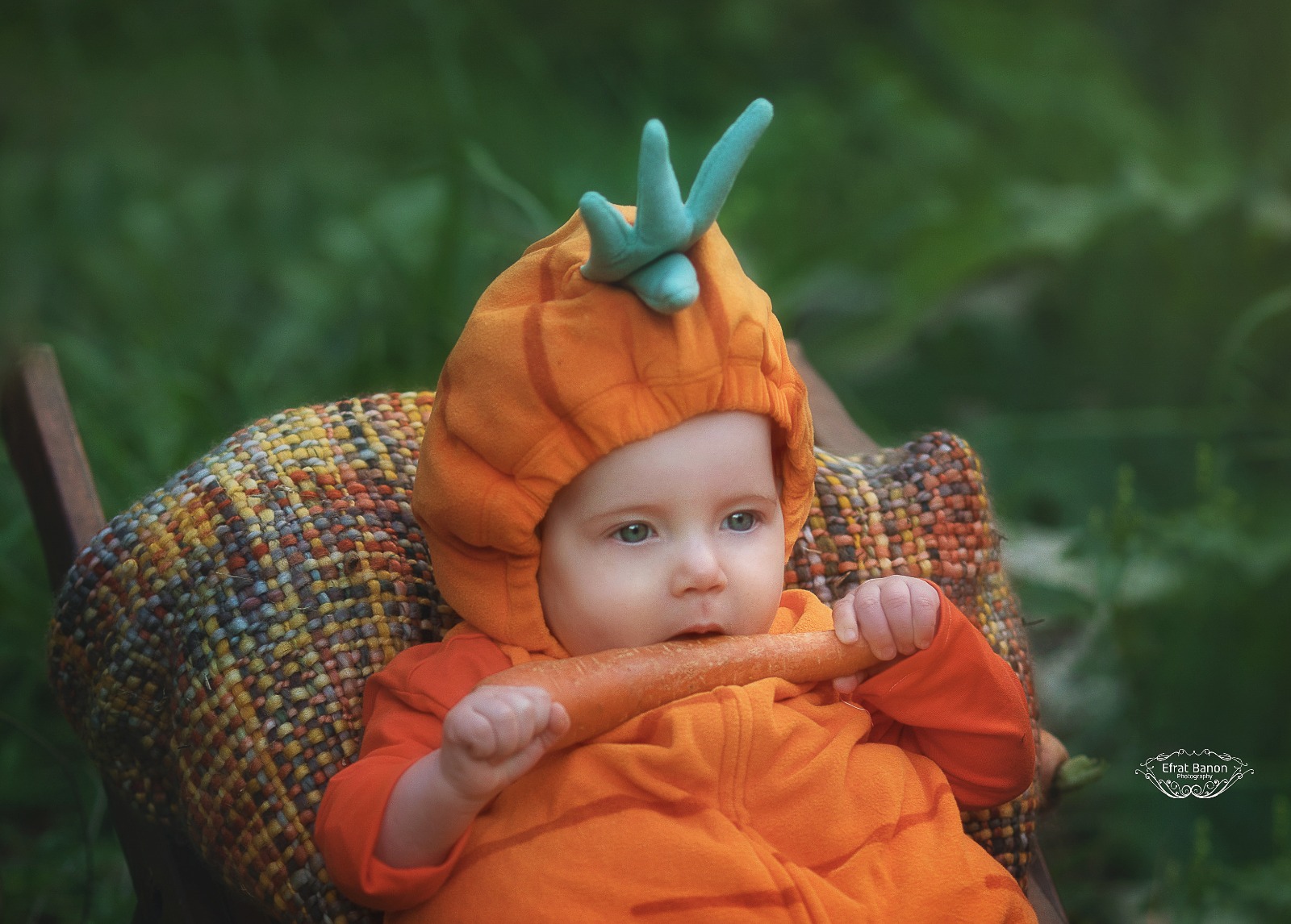 WhatsApp Image 2023-03-05 at 12.03.26.jpeg