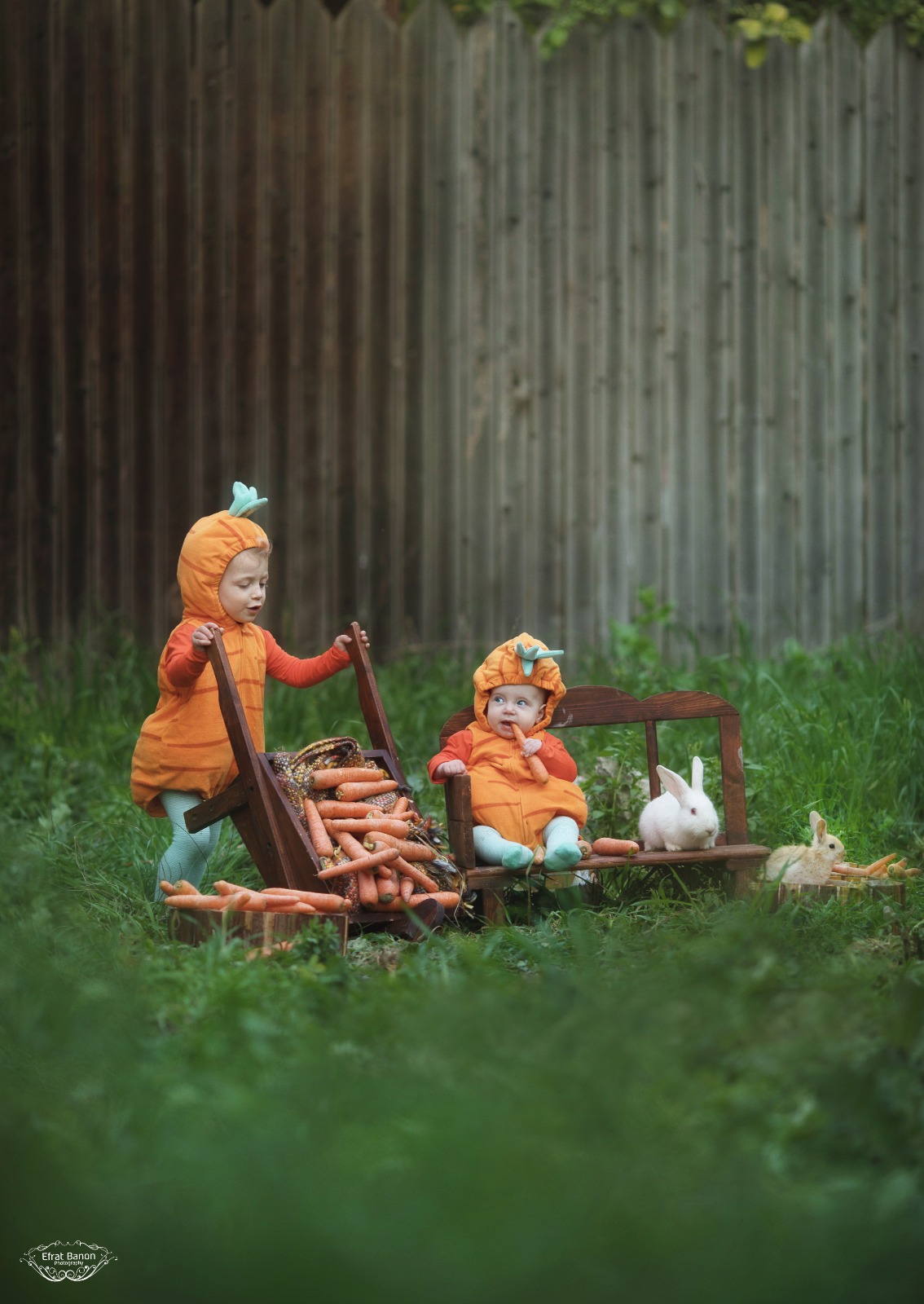 WhatsApp Image 2023-03-06 at 17.30.03.jpeg