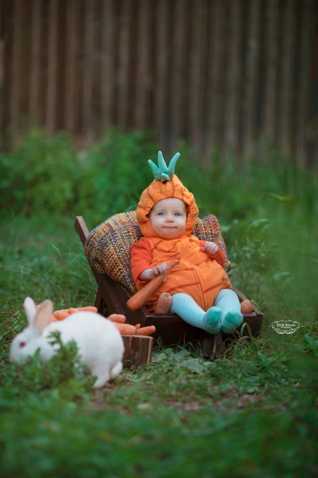 WhatsApp Image 2023-03-06 at 17.30.20.jpeg