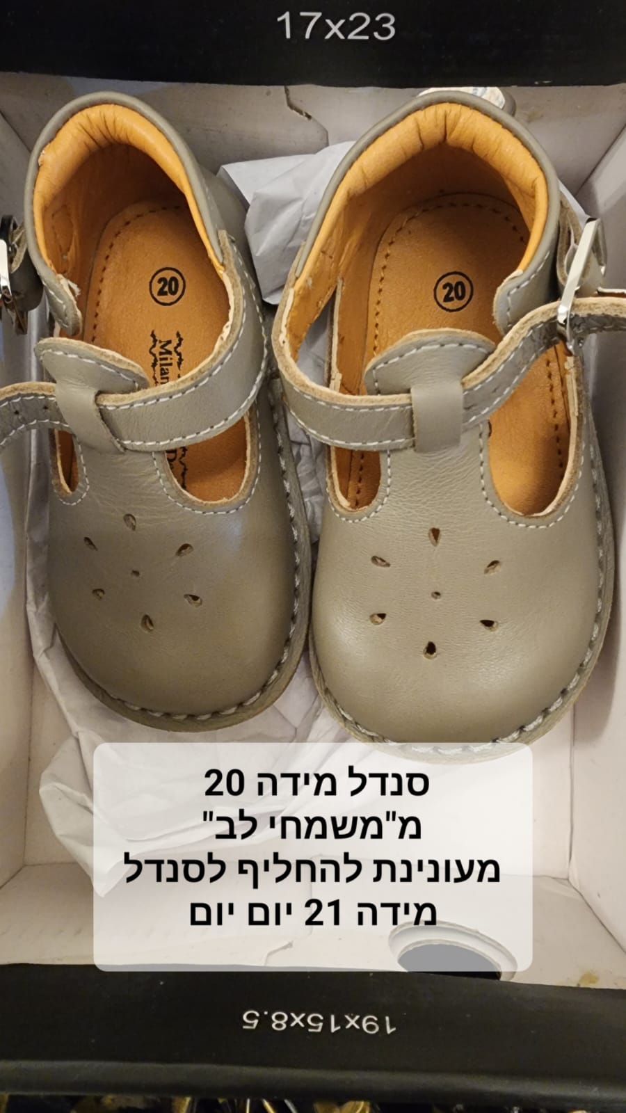 WhatsApp Image 2023-03-27 at 00.28.48.jpeg