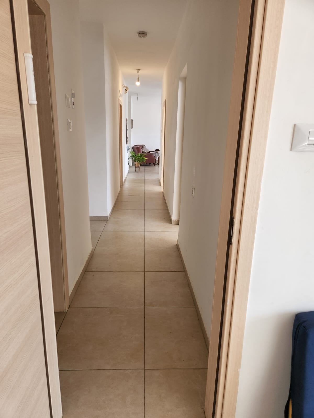 WhatsApp Image 2023-04-23 at 13.53.54.jpeg