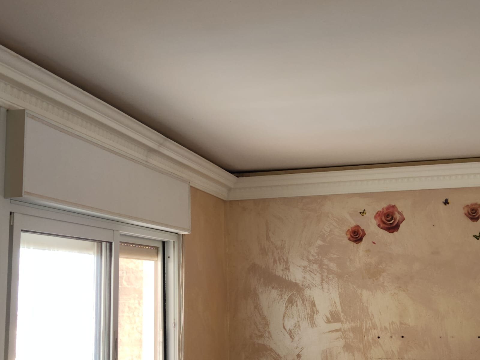 WhatsApp Image 2023-06-12 at 19.47.15.jpeg